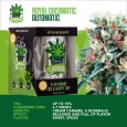 IGROWCAN - Royal Creamatic Auto